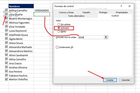 Usar casillas en Excel